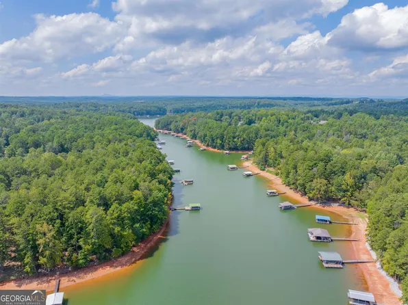 1423 Lakeside Trl, Martin, GA 30557