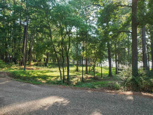 91 County Road 2223, Daingerfield, TX 75638