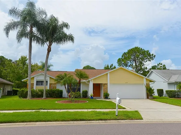 3230 Centerwood Dr, Tarpon Springs, FL 34688