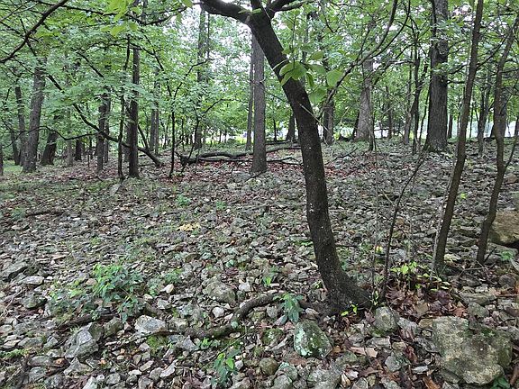 4th image of Wildwood Cir