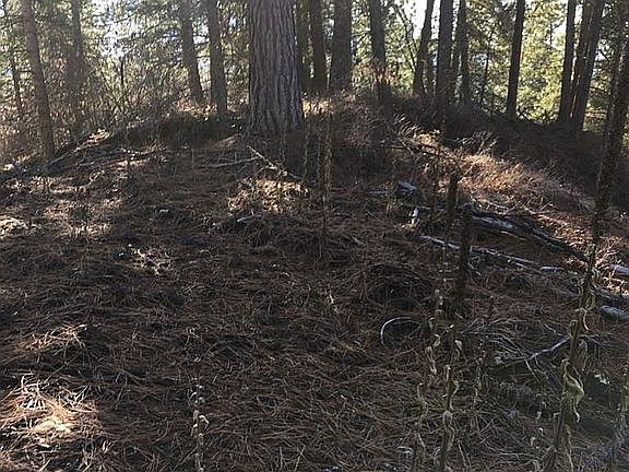 2nd image of 7562 Wild Horse Ln