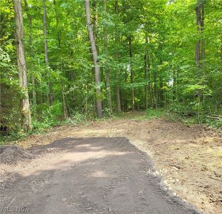 13561 Colony Ln, Burton, OH, 44021