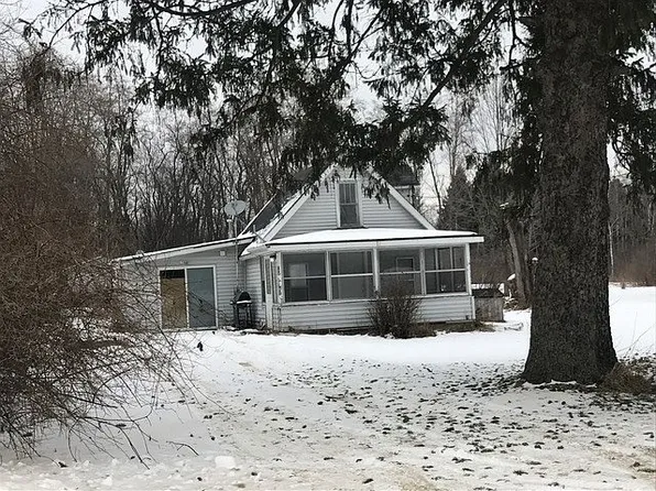5215 E Pine Rd, Edmore, MI 48829