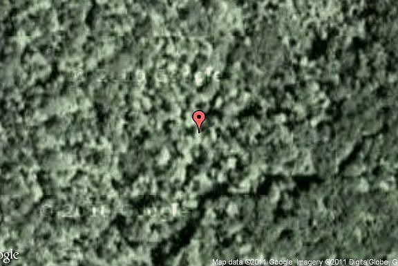 Map View