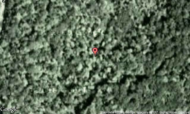 Map View