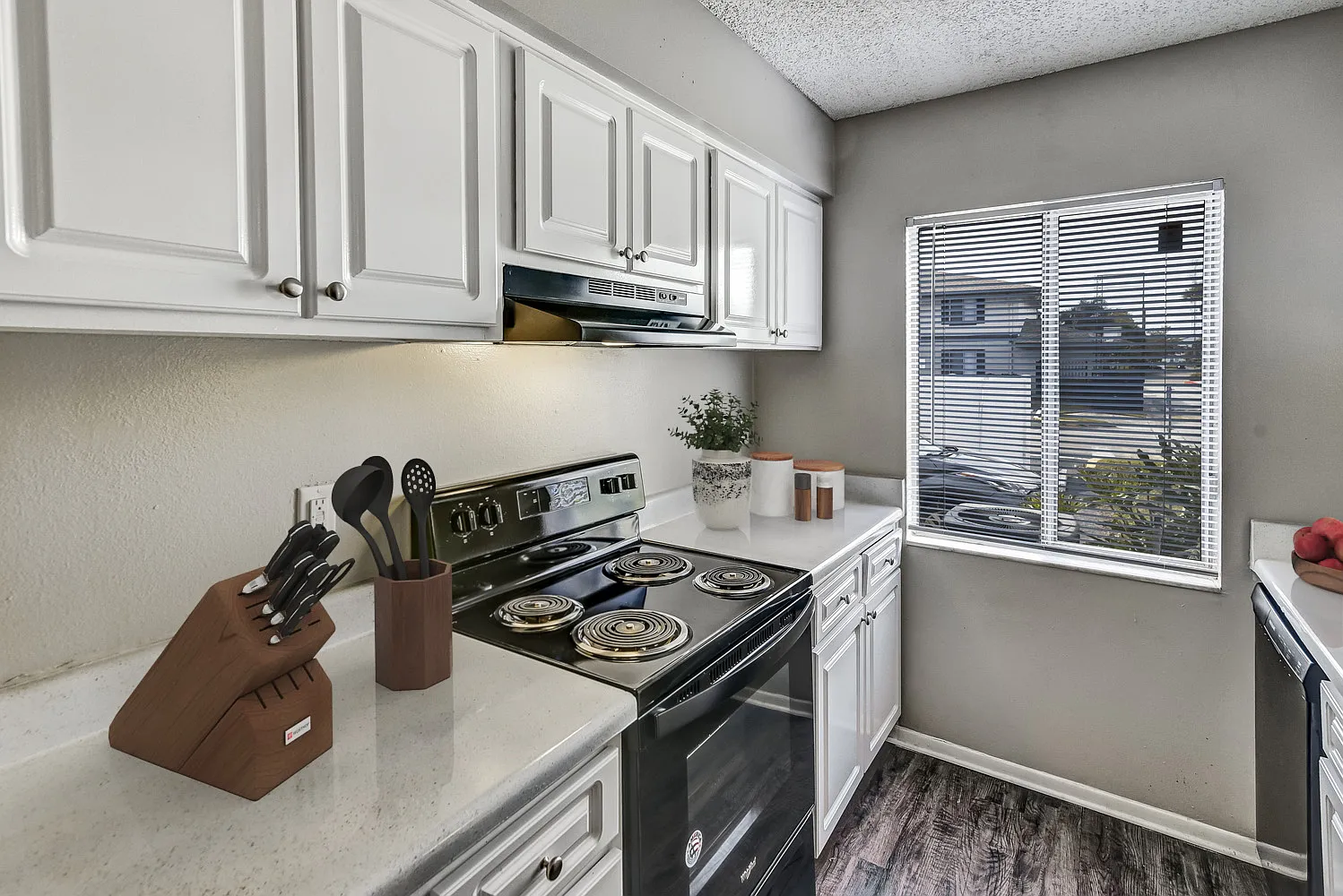 Shoreline Pointe Apartments — Photo 4