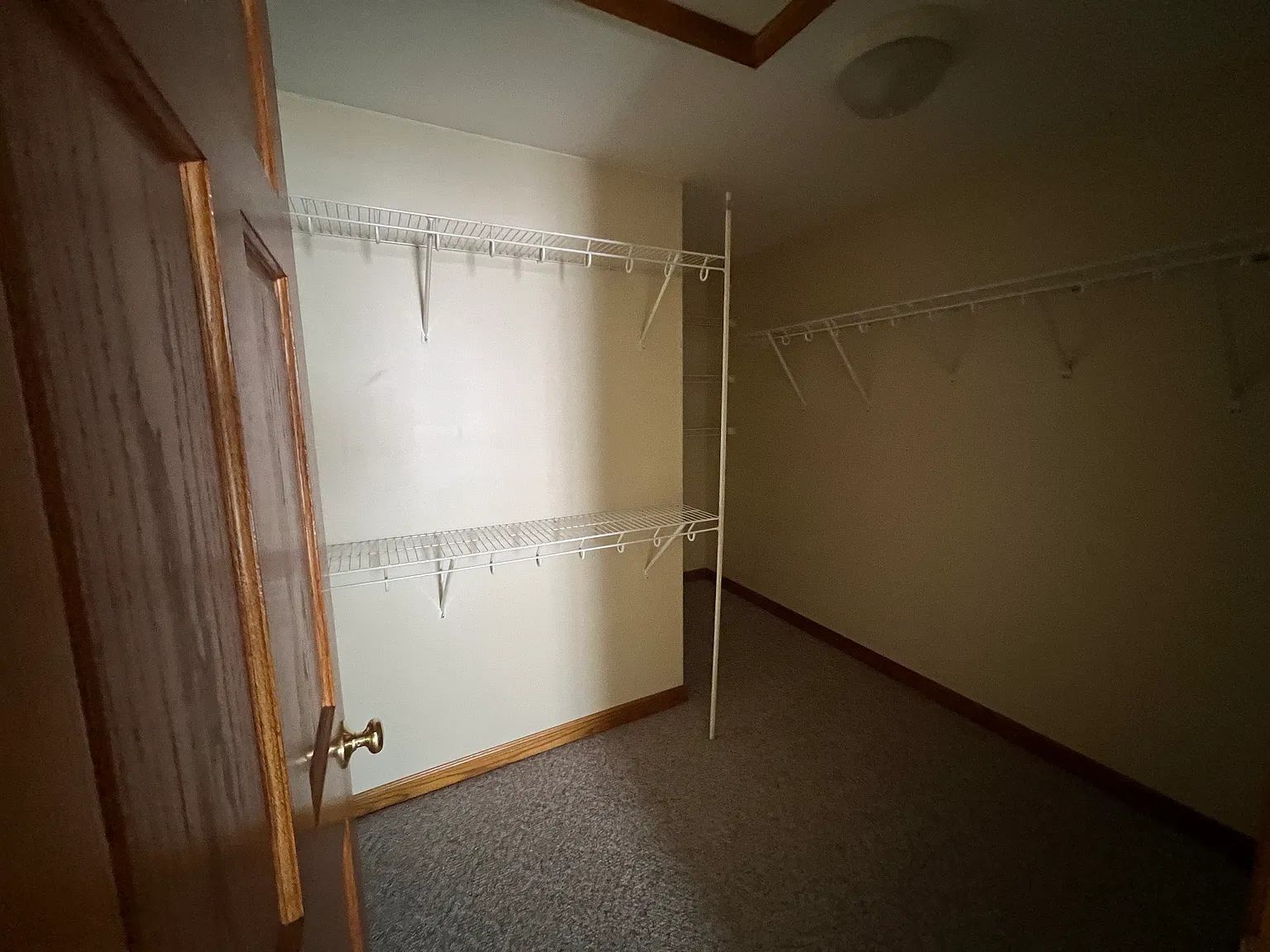 1 bed, 1200 sqft, $875 — Photo 3