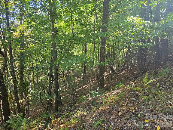 5th image of 29 Elk Ridge Rd #Eh