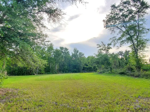 Vacant Mount Gilead Rd, Greenville, FL 32331