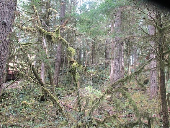 2nd image of 6947 Glacier Peak Dr
