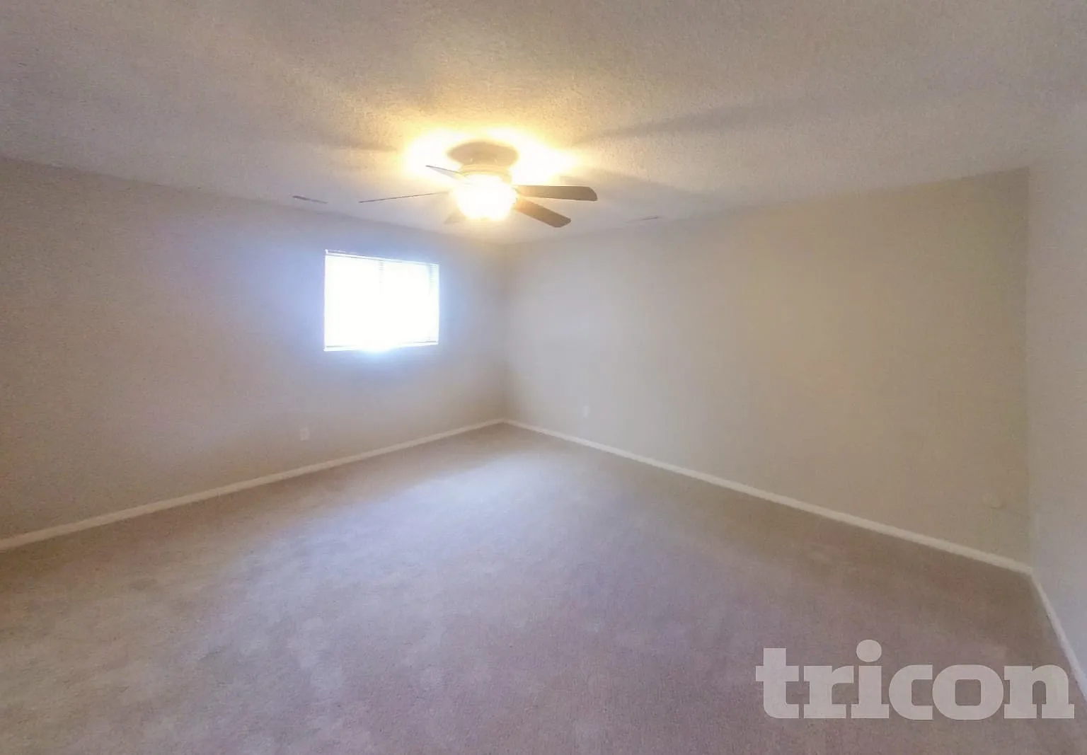 2286 Farnsworth Drive Colorado Springs CO — Photo 4