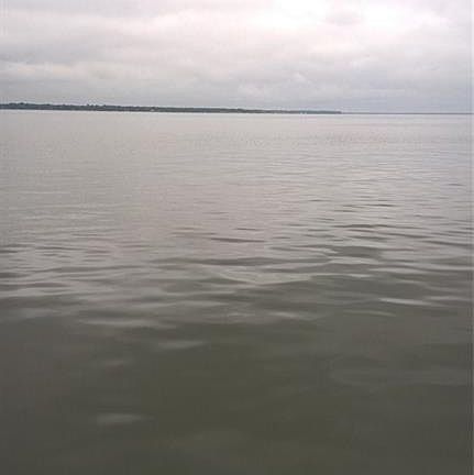 3rd image of 209 Loon Bay Ct