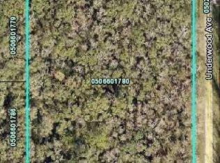 10705 Underwood Ave, Hastings, FL 32145