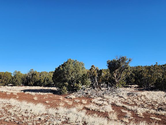 4th image of 2 County Rd N8715 -- #-