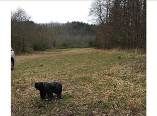Hells Hollow Rd, Blue Ridge, GA 30513