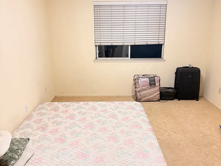 16628 China Berry Ct — Photo 1