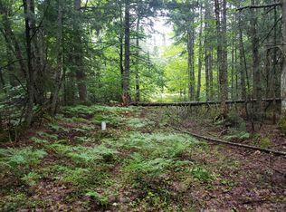 36075 W Tahqua Trl, Eckerman, MI 49728