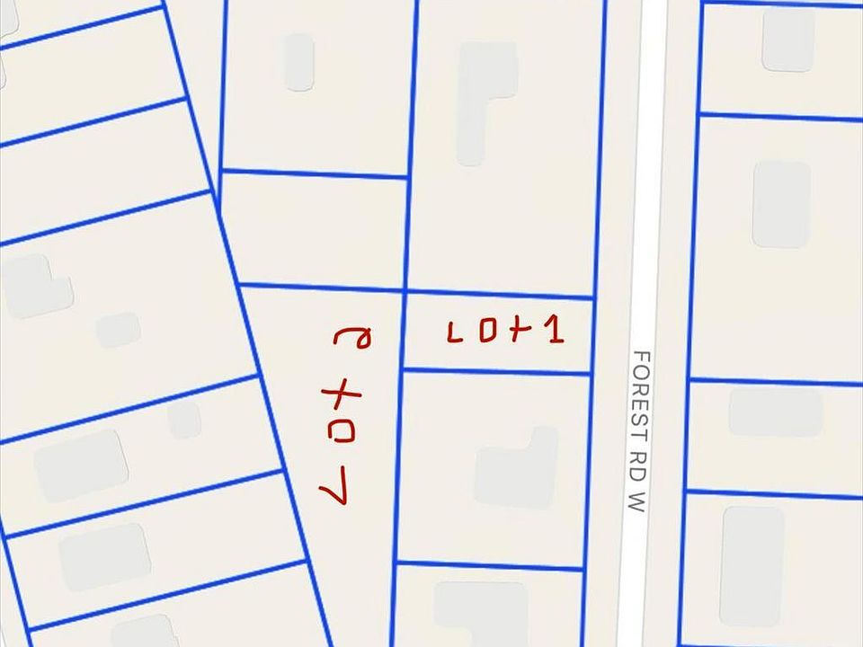 2nd image of Forest Road