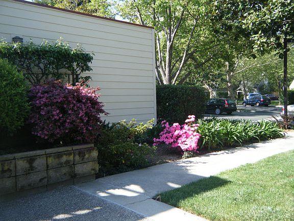 4th image of 1903 Chelsea Way