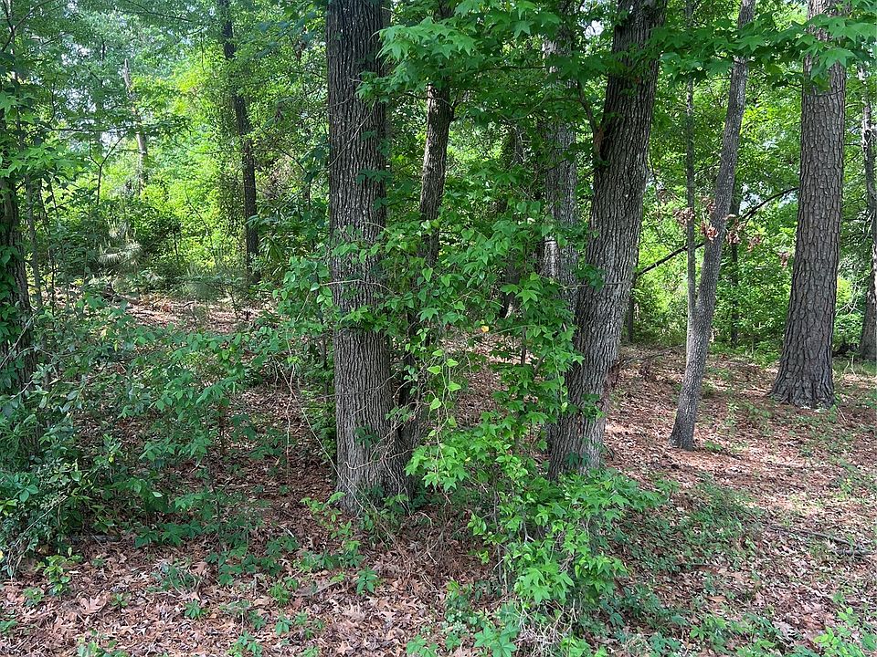 2nd image of 5417 Briarcliff Cir