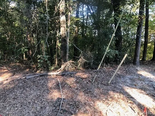 131 Lake Arnedra Rd, Coker, AL 35452