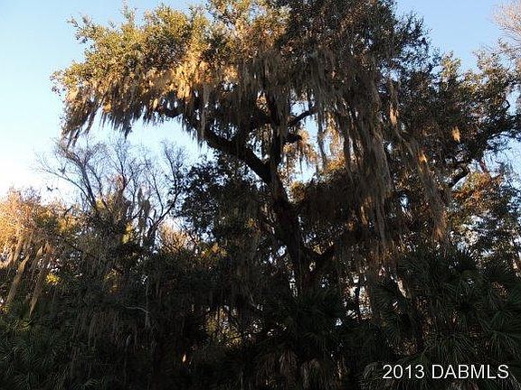 4th image of 4027 Calusa Ln