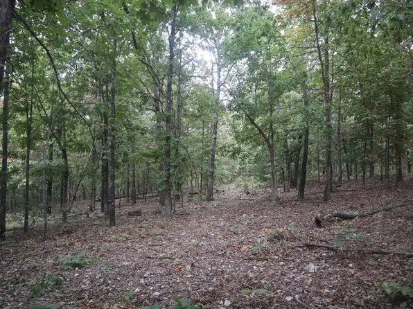 3958 Young Rd, Salem, AR 72576