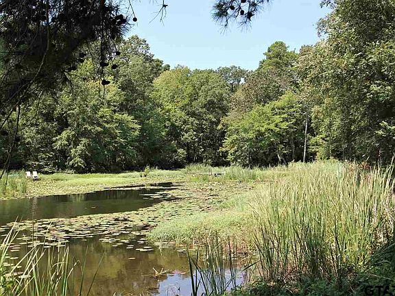 2nd image of LOT 15 County Road 4555