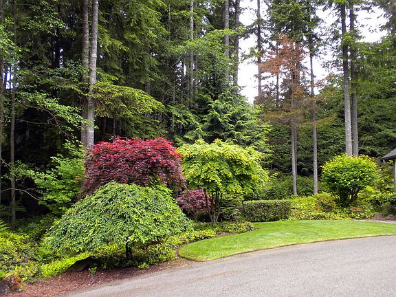 3rd image of 24407 Gabrielle Ln NW