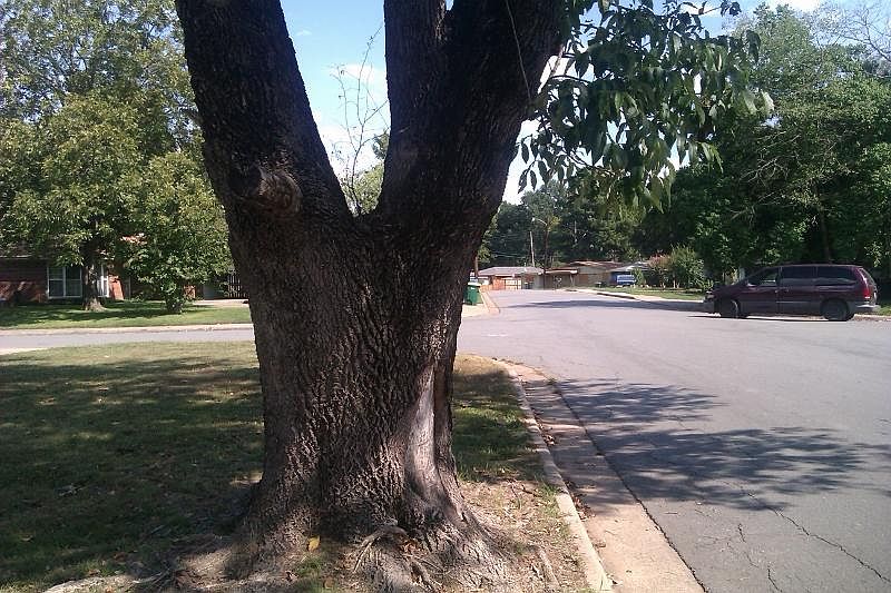 2nd image of 7400 Azalea Dr