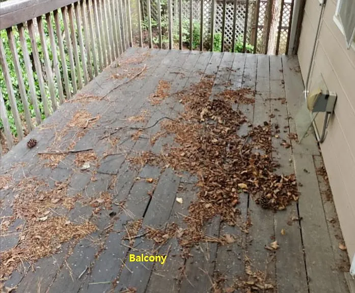 180 Peachtree Hollow Ct #180 — Photo 10
