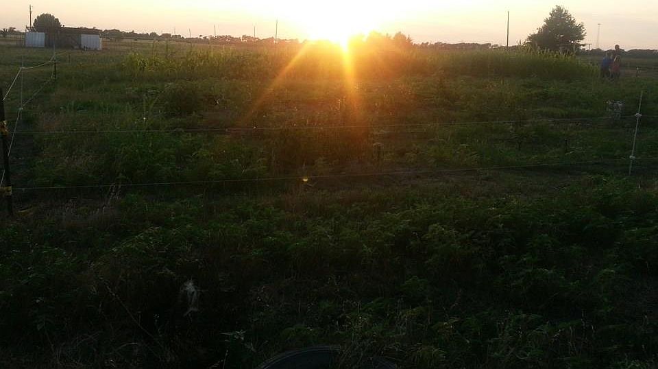 1st image of 2468 County Road 4301