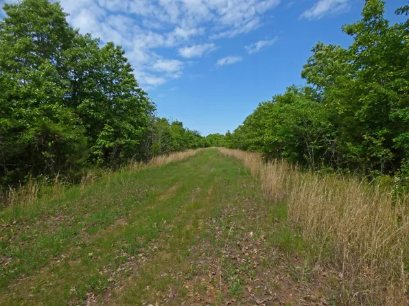 Herron Rd, Ash Flat, AR 72513