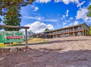21117 Stewart Slope Rd, Lead, SD 57754