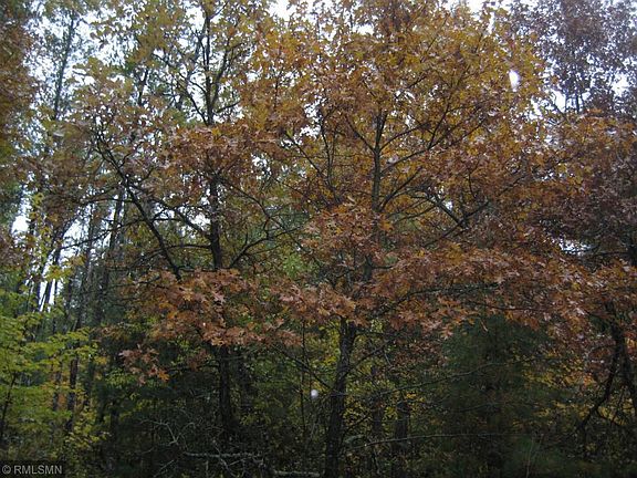5th image of Xxx Borg Road Grantsburg Twp