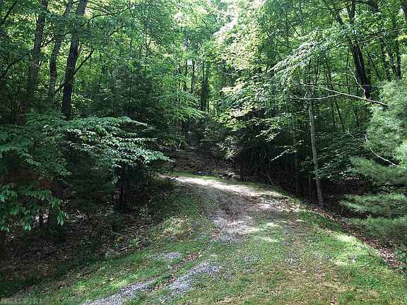 4th image of 54 Long Spur School Dr