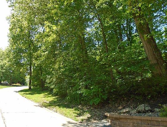 5th image of 6521 Timber Lake Dr