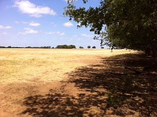 4th image of 9900 County Road 105
