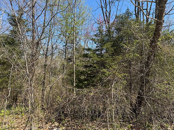 3rd image of LOT B 21 State Highway Hwy #46