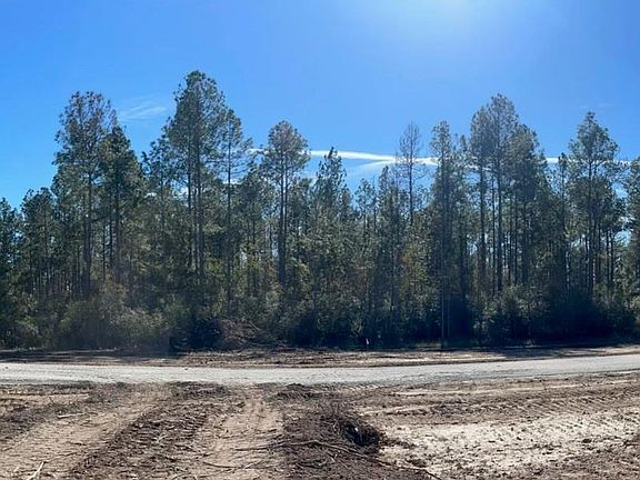 2nd image of Black Cat Rd