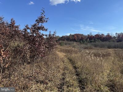 4000 Area Broadford Rd, Oakland, MD, 21550