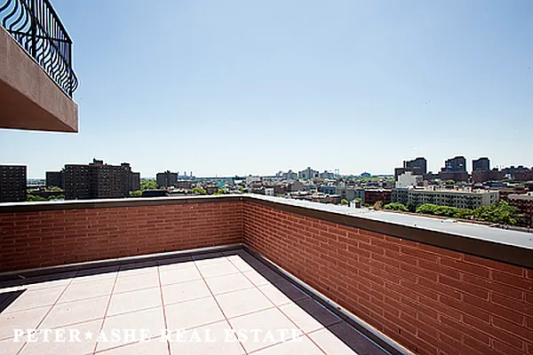 Rented by Peter Ashe | media 2