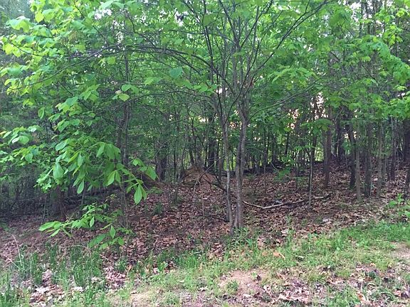 3rd image of 417 Oak Hammock Ln