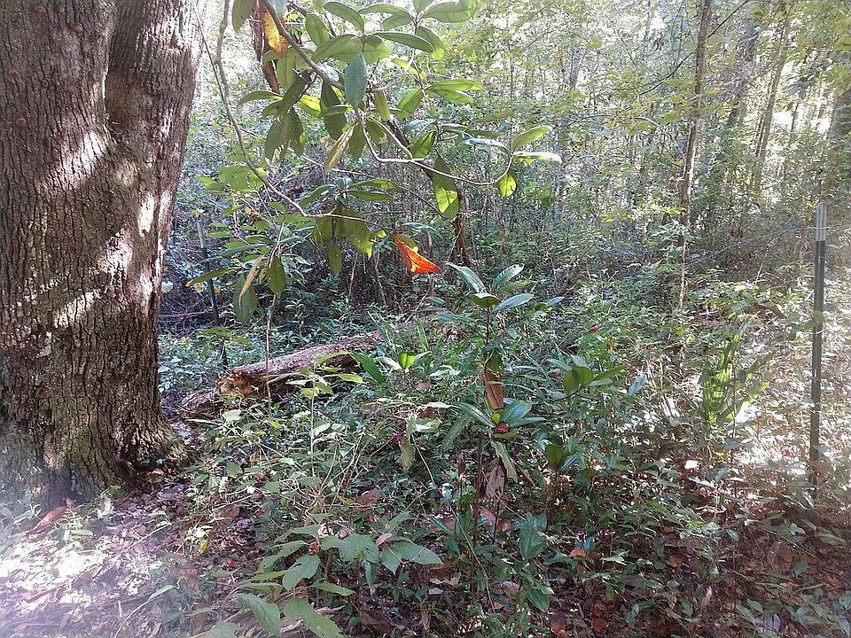 2nd image of Foxwood Dr S