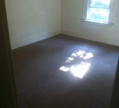 2nd image of 730 Orchard St APT 3
