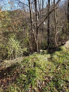 1470 Stone Coal Rd, Grundy, VA, 24614