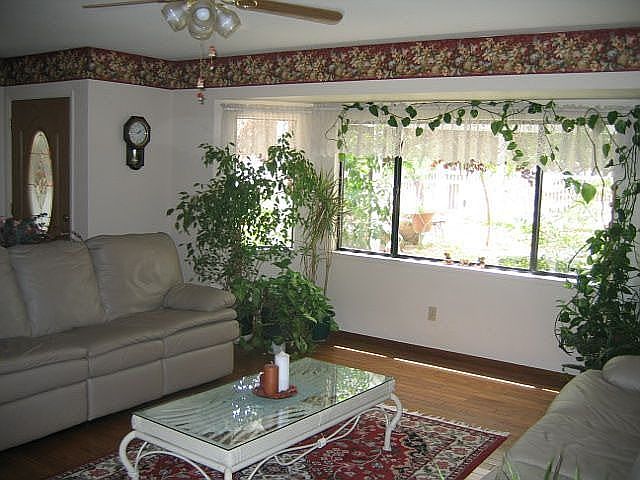 Livging room with large windows