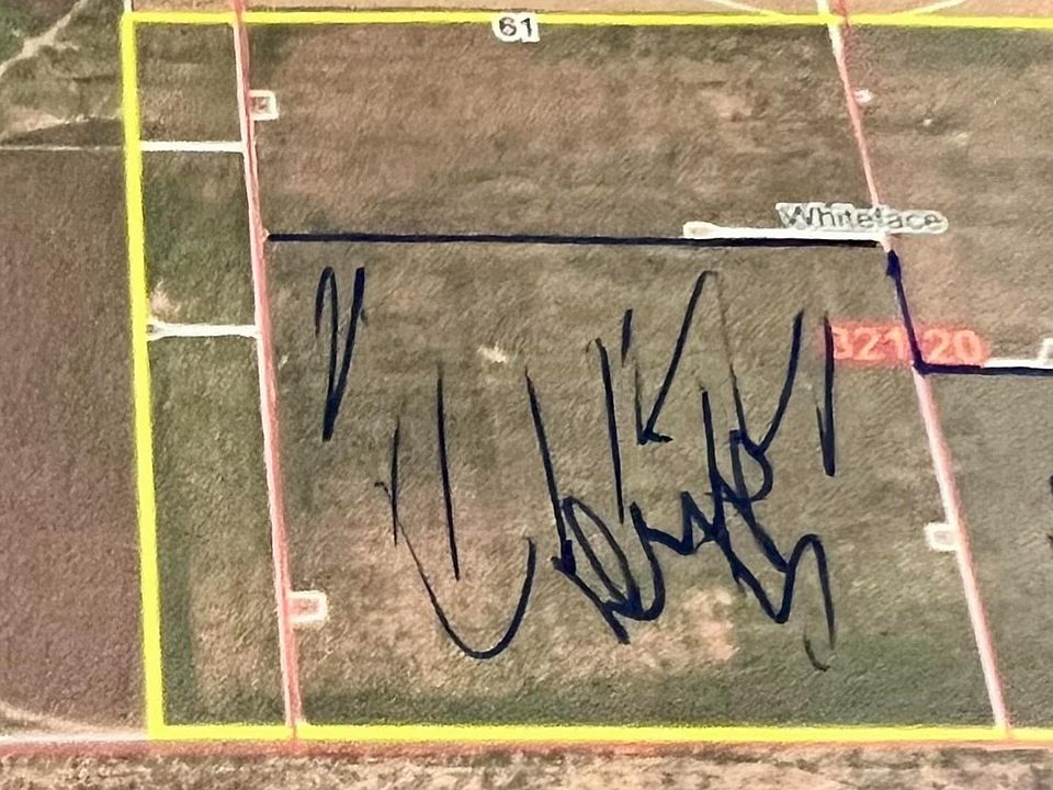 2nd image of 1 County Road 237
