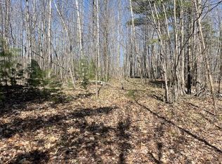 Bilder Rd, Wolverine, MI 49799