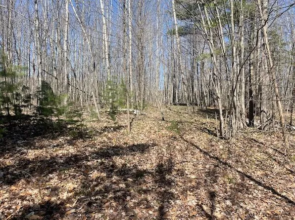 Bilder Rd, Wolverine, MI 49799